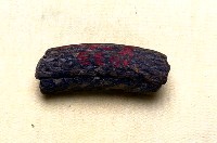 藏品(鹿角)的圖片